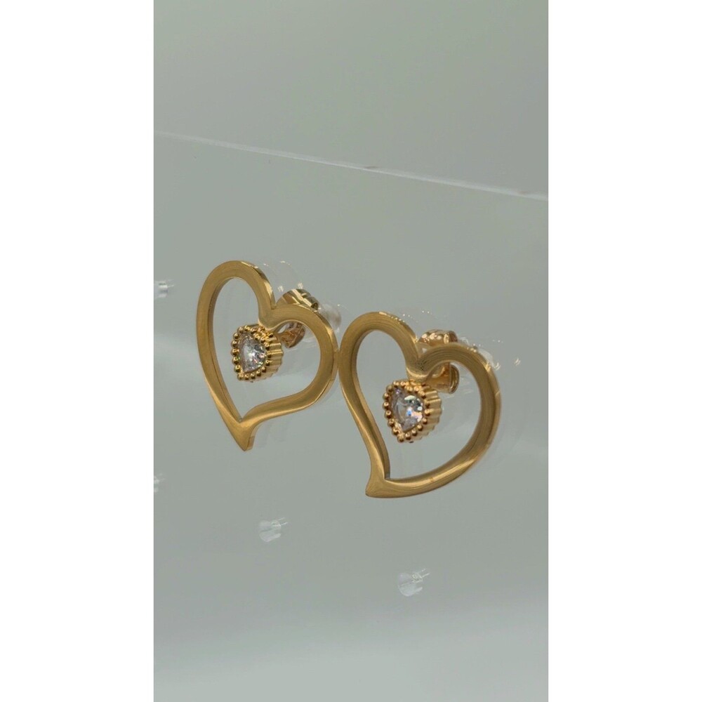 Hermosos aretes de acero inoxidable